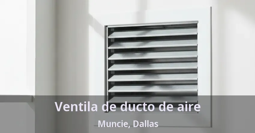 Ventila de ducto de aire Muncie, Dallas - TX