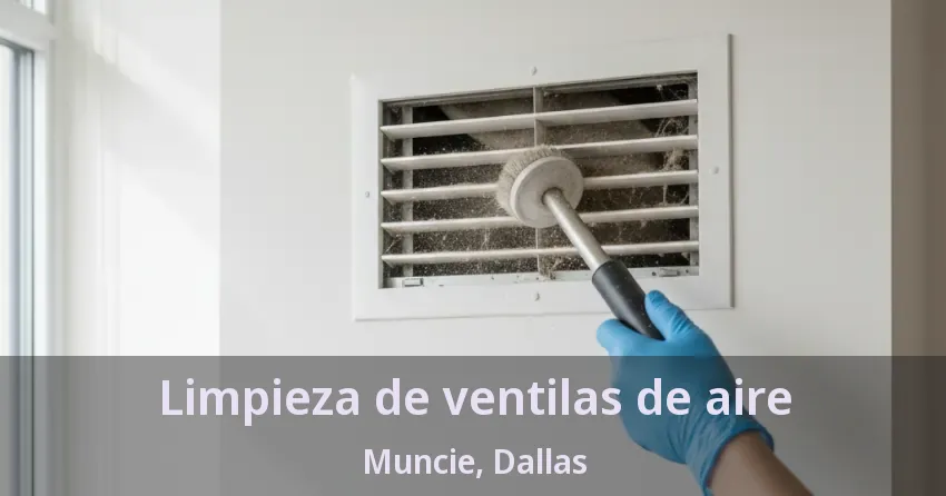 Limpieza de ventilas de aire Muncie, Dallas - TX