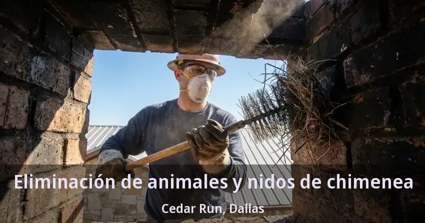 Eliminación de animales y nidos de chimenea Cedar Run, Dallas - TX