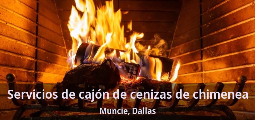Servicios de cajón de cenizas de chimenea Muncie, Dallas - TX