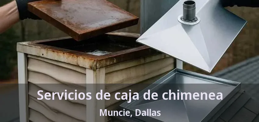 Servicios de caja de chimenea Muncie, Dallas - TX Servicios de caja de chimenea Muncie, Dallas - TX