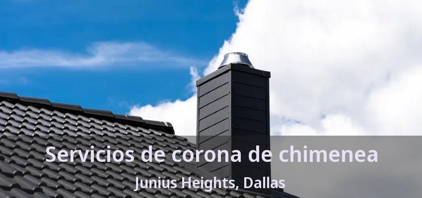 Servicios de corona de chimenea Junius Heights, Dallas - TX