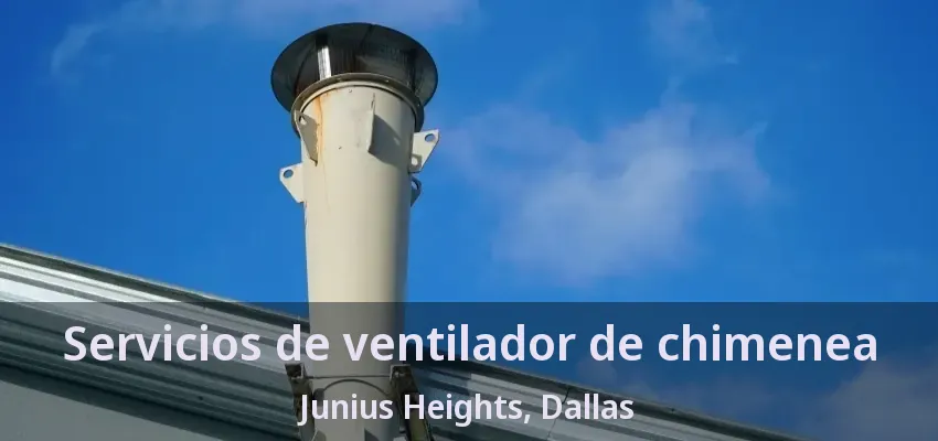 Servicios de ventilador de chimenea Junius Heights, Dallas - TX Servicios de ventilador de chimenea Junius Heights, Dallas - TX