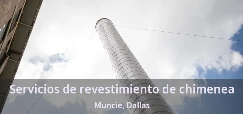Servicios de revestimiento de chimenea Muncie, Dallas - TX Servicios de revestimiento de chimenea Muncie, Dallas - TX