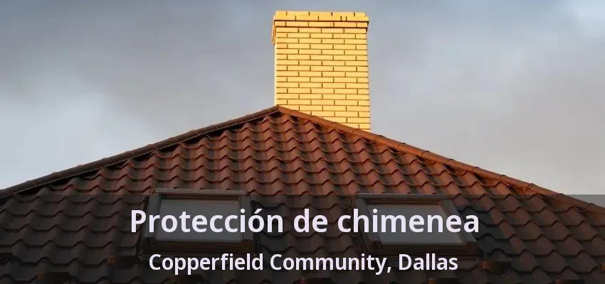 Protección de chimenea Copperfield Community, Dallas - TX