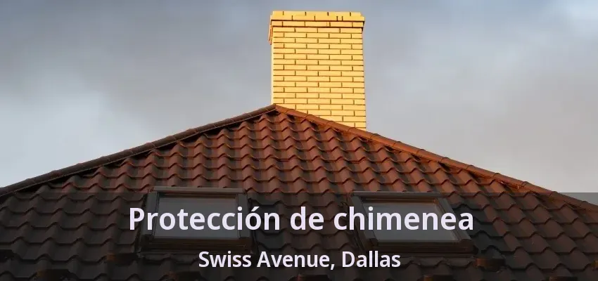Protección de chimenea Swiss Avenue, Dallas - TX Protección de chimenea Swiss Avenue, Dallas - TX