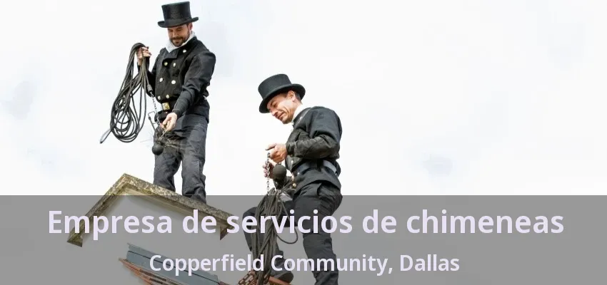 Empresa de servicios de chimeneas Copperfield Community, Dallas - TX