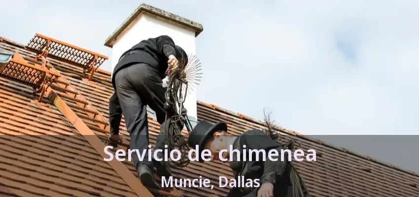 Servicio de chimenea Muncie, Dallas - TX Servicio de chimenea Muncie, Dallas - TX