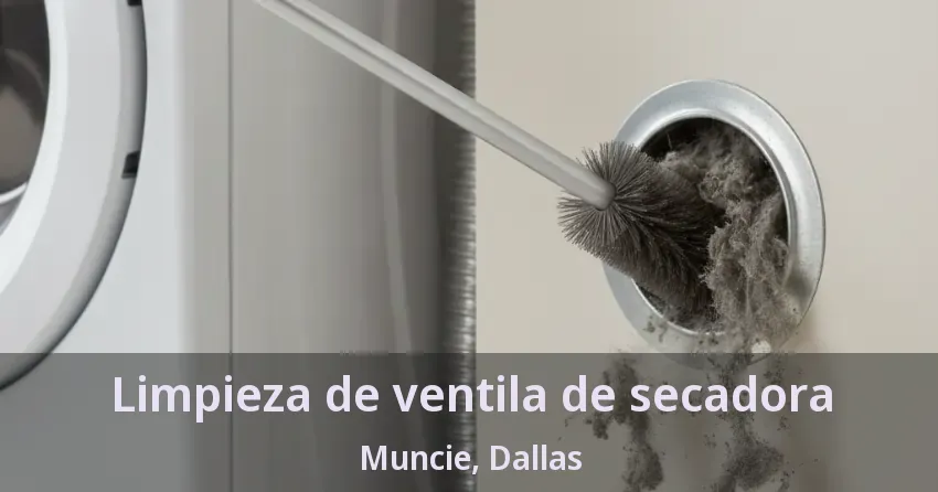 Limpieza de ventila de secadora Muncie, Dallas - TX Limpieza de ventila de secadora Muncie, Dallas - TX