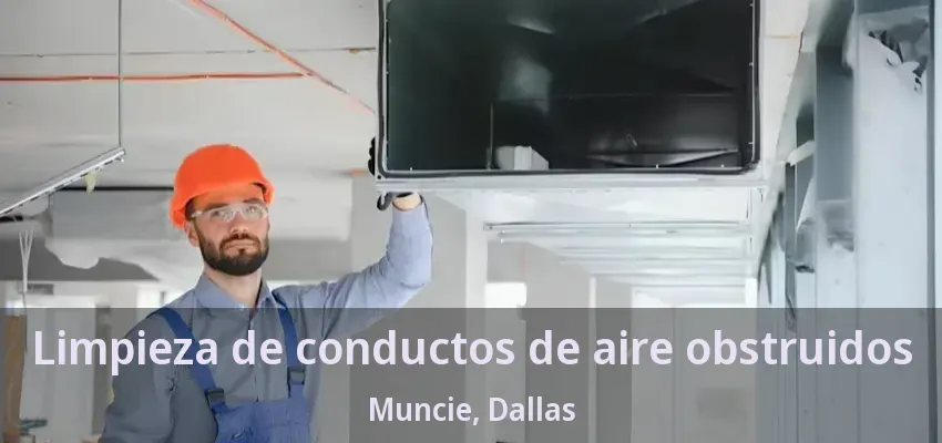 Limpieza de conductos de aire obstruidos Muncie, Dallas - TX
