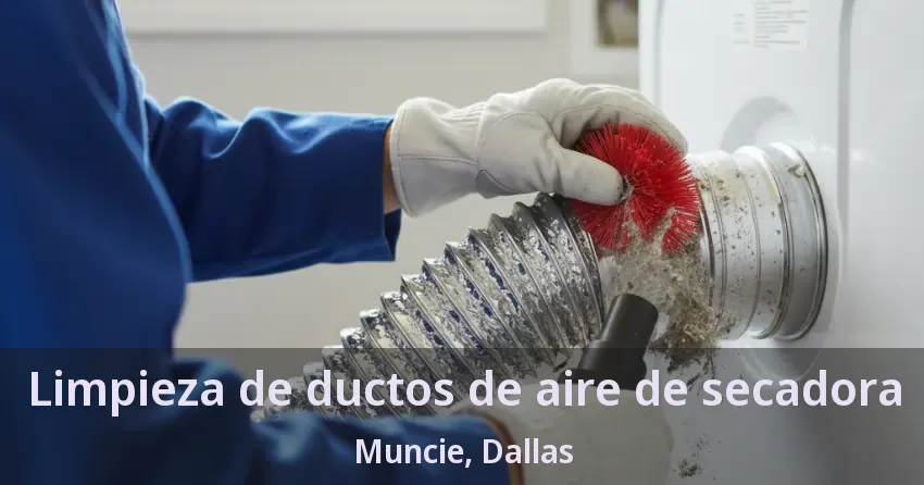 Limpieza de ductos de aire de secadora Muncie, Dallas - TX Limpieza de ductos de aire de secadora Muncie, Dallas - TX