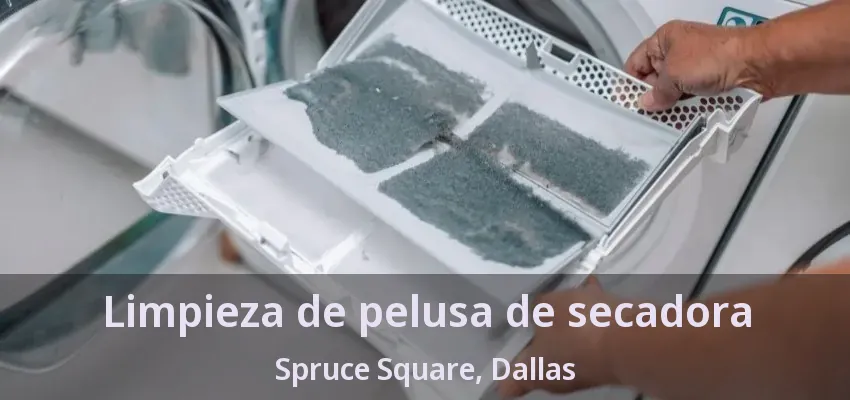 Limpieza de pelusa de secadora Spruce Square, Dallas - TX Limpieza de pelusa de secadora Spruce Square, Dallas - TX