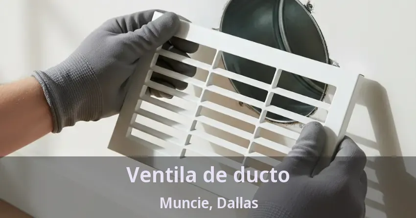 Ventila de ducto Muncie, Dallas - TX