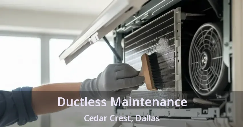 Ductless Maintenance Cedar Crest, Dallas - TX Ductless Maintenance Cedar Crest, Dallas - TX