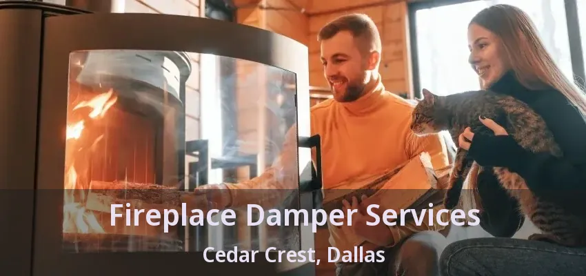 Fireplace Damper Services Cedar Crest, Dallas - TX