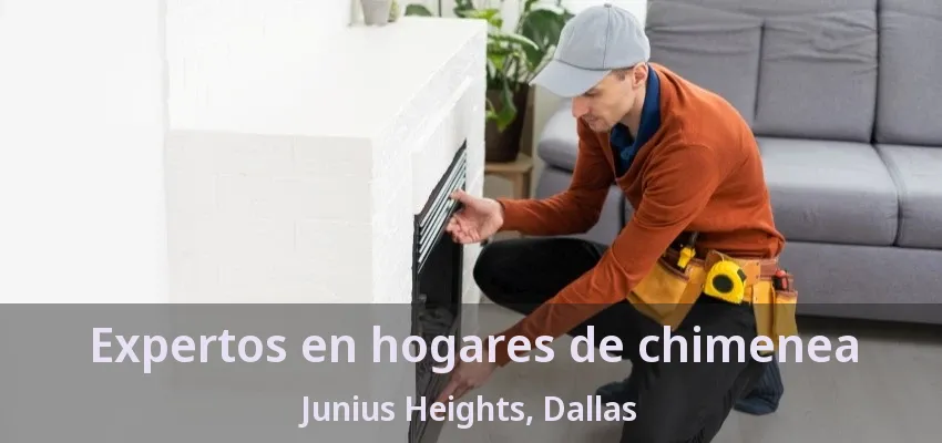 Expertos en hogares de chimenea Junius Heights, Dallas - TX