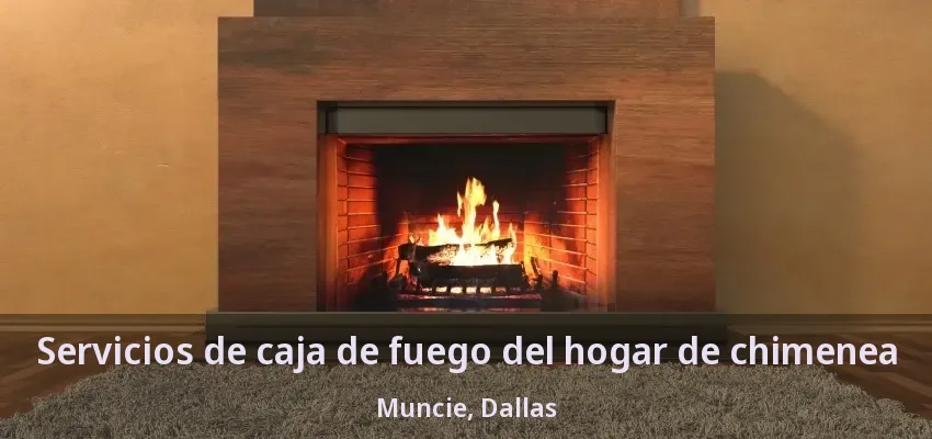 Servicios de caja de fuego del hogar de chimenea Muncie, Dallas - TX