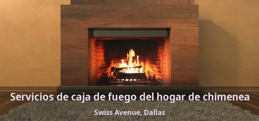 Servicios de caja de fuego del hogar de chimenea Swiss Avenue, Dallas - TX