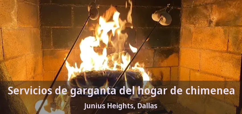 Servicios de garganta del hogar de chimenea Junius Heights, Dallas - TX Servicios de garganta del hogar de chimenea Junius Heights, Dallas - TX