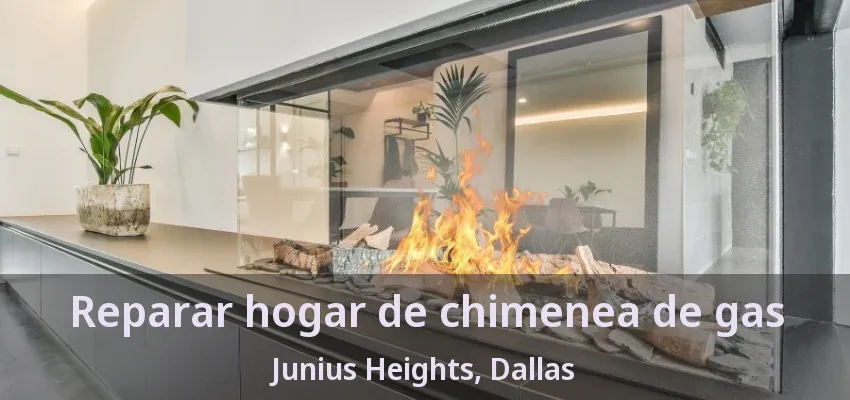 Reparar hogar de chimenea de gas Junius Heights, Dallas - TX