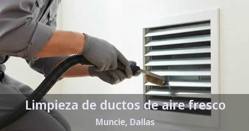 Limpieza de ductos de aire fresco Muncie, Dallas - TX
