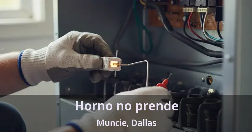 Horno no prende Muncie, Dallas - TX Horno no prende Muncie, Dallas - TX