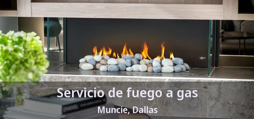 Servicio de fuego a gas Muncie, Dallas - TX