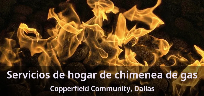 Servicios de hogar de chimenea de gas Copperfield Community, Dallas - TX Servicios de hogar de chimenea de gas Copperfield Community, Dallas - TX
