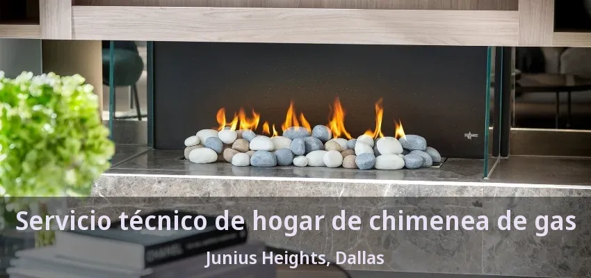 Servicio técnico de hogar de chimenea de gas Junius Heights, Dallas - TX