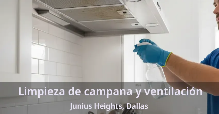 Limpieza de campana y ventilación Junius Heights, Dallas - TX