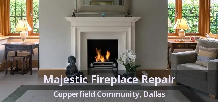 Majestic Fireplace Repair Copperfield Community, Dallas - TX