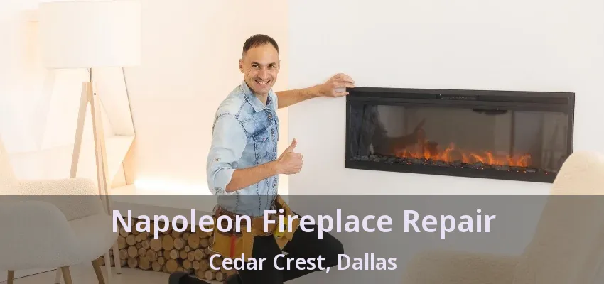 Napoleon Fireplace Repair Cedar Crest, Dallas - TX Napoleon Fireplace Repair Cedar Crest, Dallas - TX