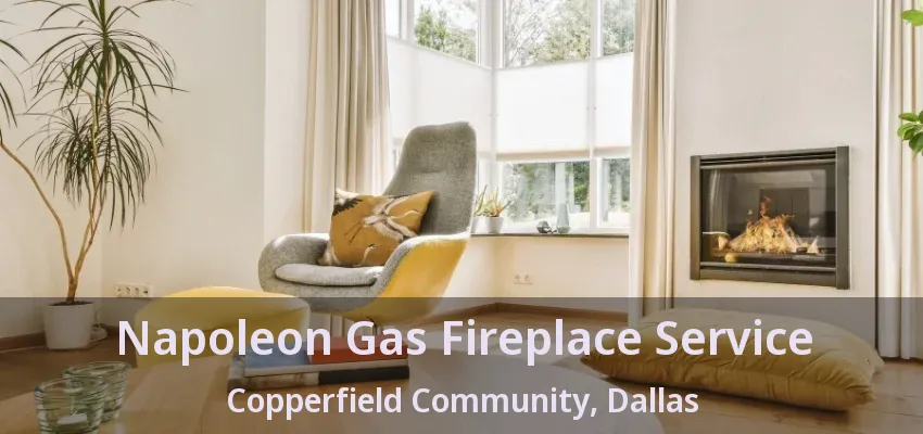 Napoleon Gas Fireplace Service Copperfield Community, Dallas - TX Napoleon Gas Fireplace Service Copperfield Community, Dallas - TX