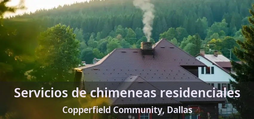Servicios de chimeneas residenciales Copperfield Community, Dallas - TX