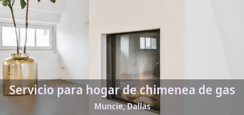 Servicio para hogar de chimenea de gas Muncie, Dallas - TX